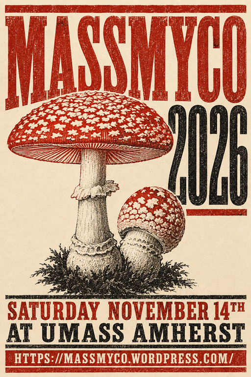 Vintage botanical-style poster for MassMyco 2026. Two illustrated red-and-white spotted mushrooms sit against a cream background, with the larger mushroom towering over a smaller one. Bold red and black typography reads “MASSMYCO 2026,” followed by “Saturday November 14th” and “At UMass Amherst.” A website address is printed along the bottom.